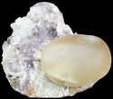 Butterscotch Fluorite Ball on Amethyst - India #63139-1